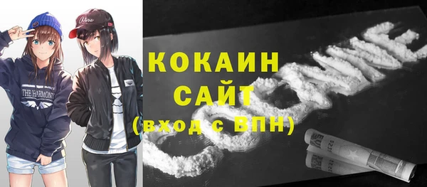 дмт Богородицк