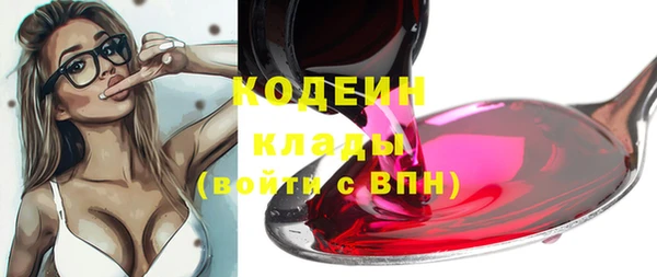 дмт Богородицк