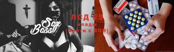 дмт Богородицк