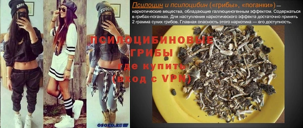 дмт Богородицк