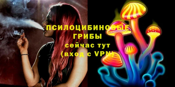 дмт Богородицк