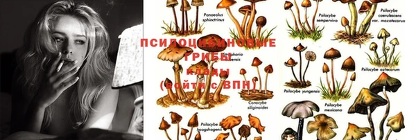 гидропоника Рославль